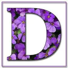 d love photo d love photo